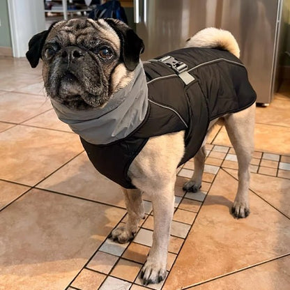 Harnais Chien - Manteau (40 - 102cm) - Joli Doggy