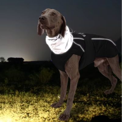 Harnais Chien - Manteau (40 - 102cm) - Joli Doggy