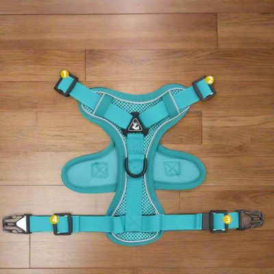 Harnais Petit Chien | Laisse Incluse (30 - 52cm) - Joli Doggy