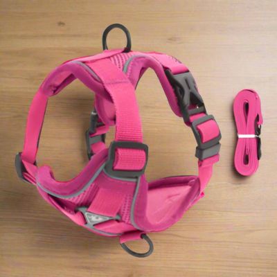 Harnais Petit Chien | Laisse Incluse (30 - 52cm) - Joli Doggy