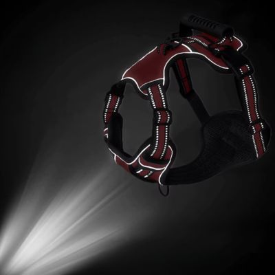 Harnais pour Chien | Contrôle (33 - 100cm) - Joli Doggy