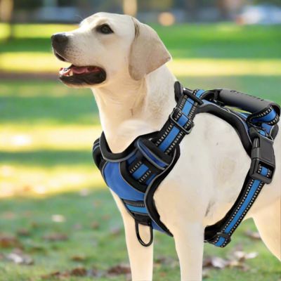 Harnais pour Chien | Contrôle (33 - 100cm) - Joli Doggy