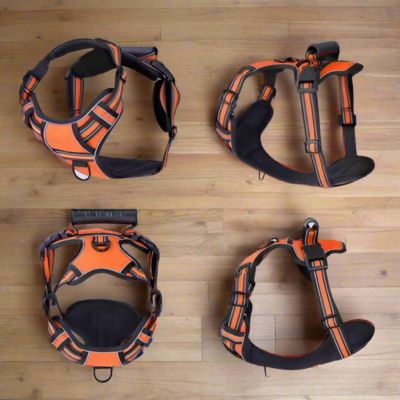 Harnais pour Chien | Contrôle (33 - 100cm) - Joli Doggy