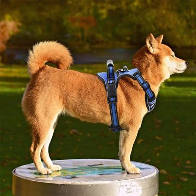 Harnais pour Chien | Contrôle (33 - 100cm) - Joli Doggy