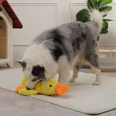 Jouet pour chien│DoctorDuck™ - Joli Doggy