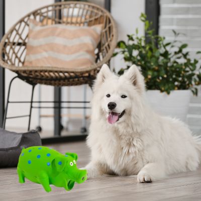 Jouets pour Chien | Squeaky Pig™ - Joli Doggy