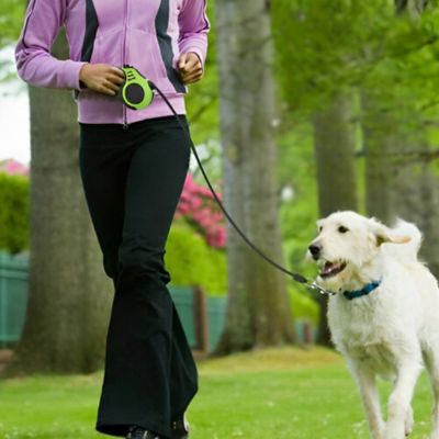 Laisse à Enrouleur pour Chien - Joli Doggy