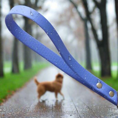 Laisse Chien Courte | Imperméable - Joli Doggy