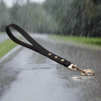 Laisse Chien Courte | Imperméable - Joli Doggy