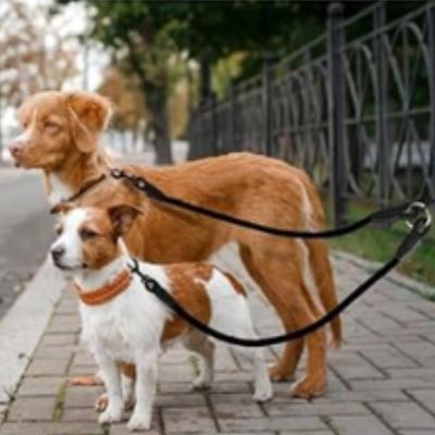 Laisse Chien Double | Petit - Moyen Chien - Joli Doggy