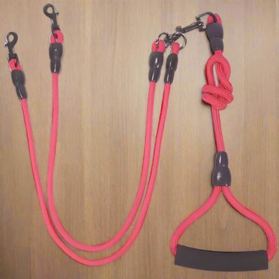 Laisse Chien Double | Petit - Moyen Chien - Joli Doggy