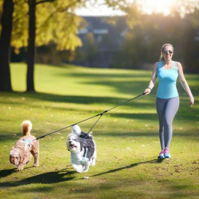 Laisse Chien Double | Petit - Moyen Chien - Joli Doggy