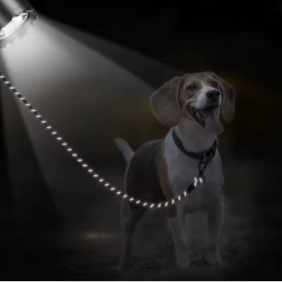 Laisse de Chien | Réfléchissante - Joli Doggy