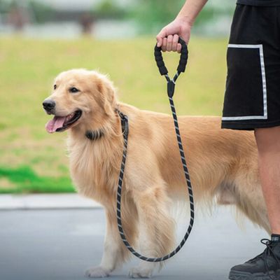 Laisse de Chien | Réfléchissante - Joli Doggy