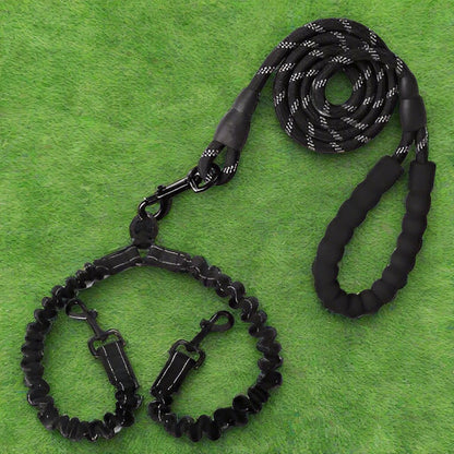 Laisse Double Chien | Moyen - Gros Chien - Joli Doggy