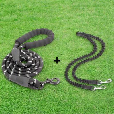 Laisse Double Chien | Moyen - Gros Chien - Joli Doggy