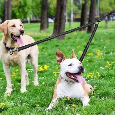 Laisse Double Chien | Moyen - Gros Chien - Joli Doggy
