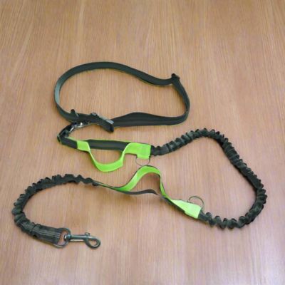 Laisse Mains Libres pour Chiens | Footing - Joli Doggy