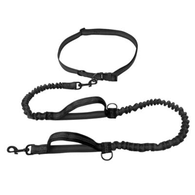 Laisse Mains Libres pour Chiens | Footing - Joli Doggy
