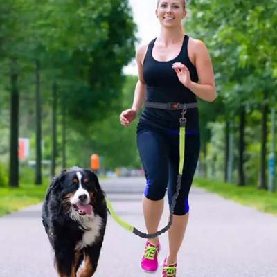 Laisse Mains Libres pour Chiens | Footing - Joli Doggy