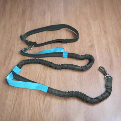 Laisse Mains Libres pour Chiens | Footing - Joli Doggy