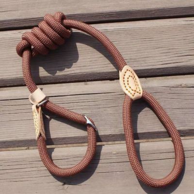 Laisse pour Chien Corde - Joli Doggy