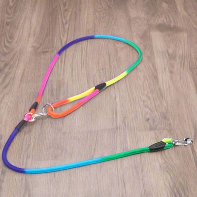 Laisse pour Chien | Main Libre Multi - Joli Doggy
