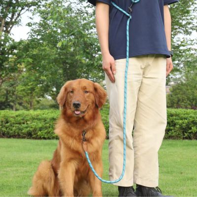 Laisse pour Chien | Main Libre Multi - Joli Doggy