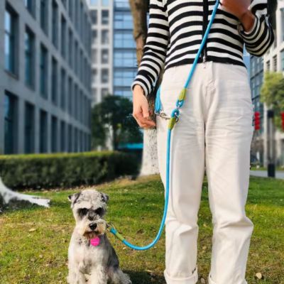 Laisse pour Chien | Main Libre Multi - Joli Doggy