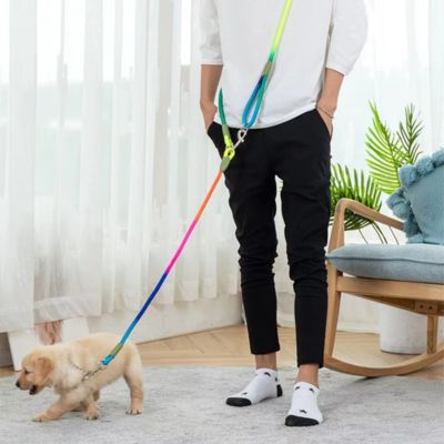 Laisse pour Chien | Main Libre Multi - Joli Doggy