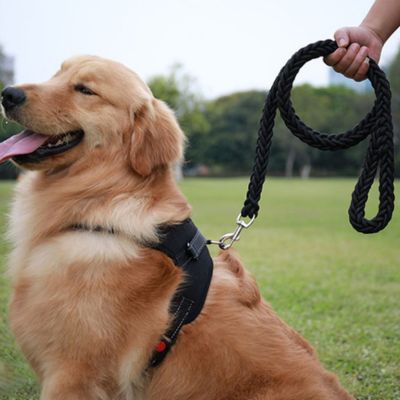 Laisse pour Chien | Résistante - Joli Doggy
