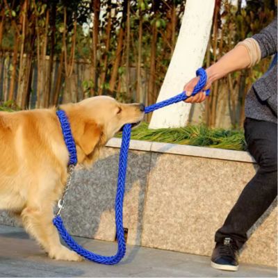 Laisse pour Chien | Résistante - Joli Doggy