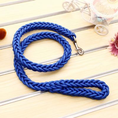 Laisse pour Chien | Résistante - Joli Doggy