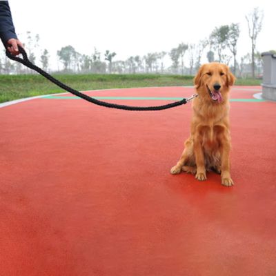 Laisse pour Chien | Résistante - Joli Doggy