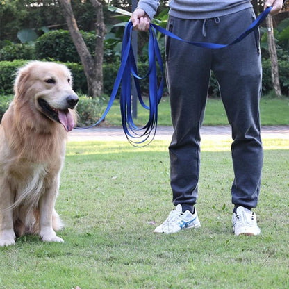 longe-pour-chien-bleu-homme-parc