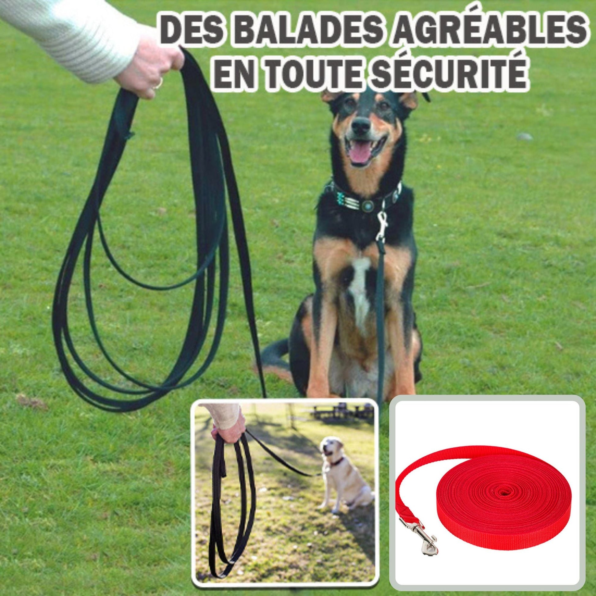 Liberty Leash™ | Longe découverte et apprentissage supervisé - Joli Doggy