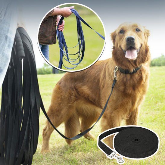 Liberty Leash™ | Longe découverte et apprentissage supervisé - Joli Doggy