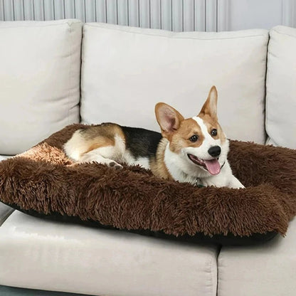 Lit pour Chien │Fluffy™ - Joli Doggy
