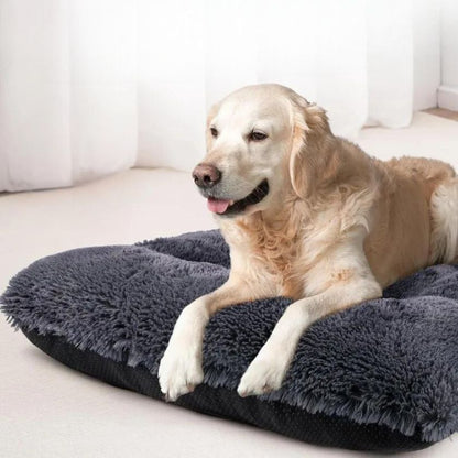 Lit pour Chien Fluffy™ Charcoal - Joli Doggy