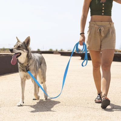 Longe Chien | Imperméable - Joli Doggy