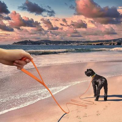 Longe Chien | Imperméable - Joli Doggy