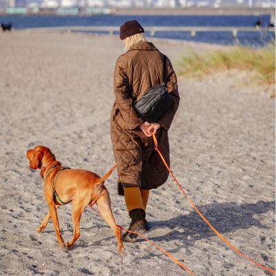 Longe Chien | Imperméable Etroite - Joli Doggy