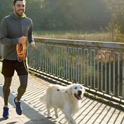 Longe Chien | Imperméable Etroite - Joli Doggy