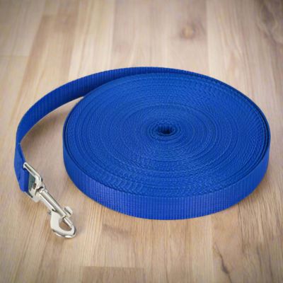 Longe pour Chien | Multi - Joli Doggy