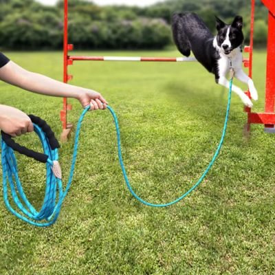 Longe pour Chien | Réfléchissante - Joli Doggy