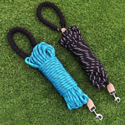 Longe pour Chien | Réfléchissante - Joli Doggy