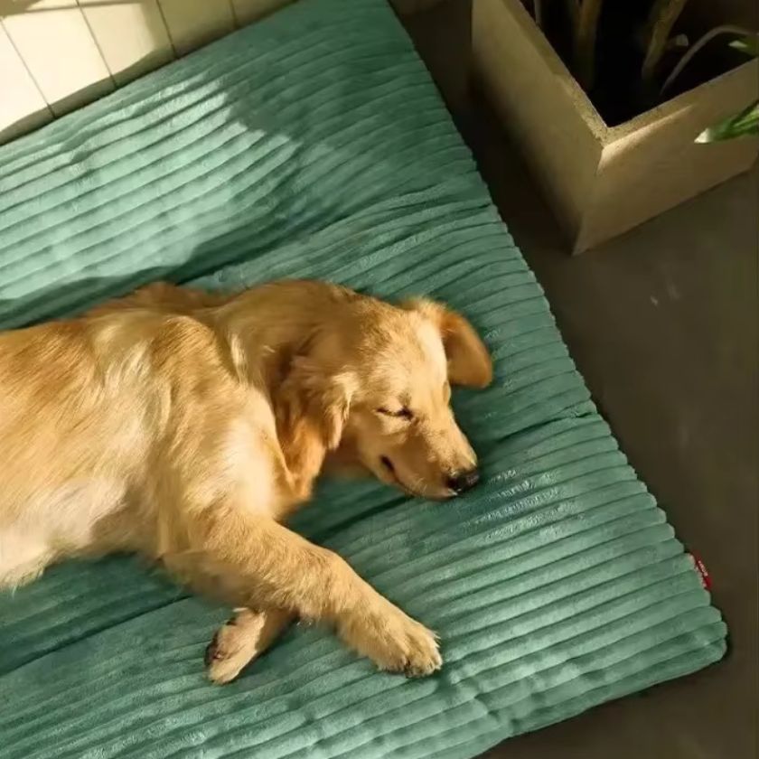 Matelas Chien Lola™ - Joli Doggy