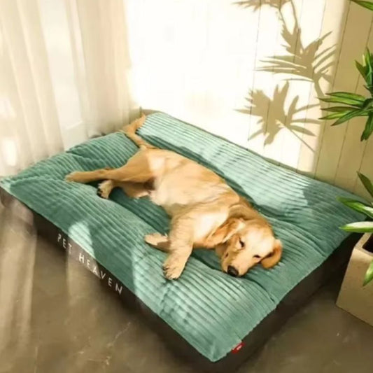 Matelas Chien Lola™ - Joli Doggy