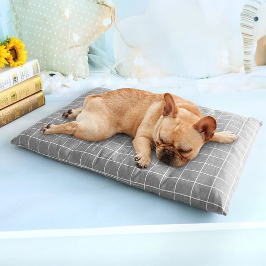 Matelas pour Chien Dolly™ - Joli Doggy