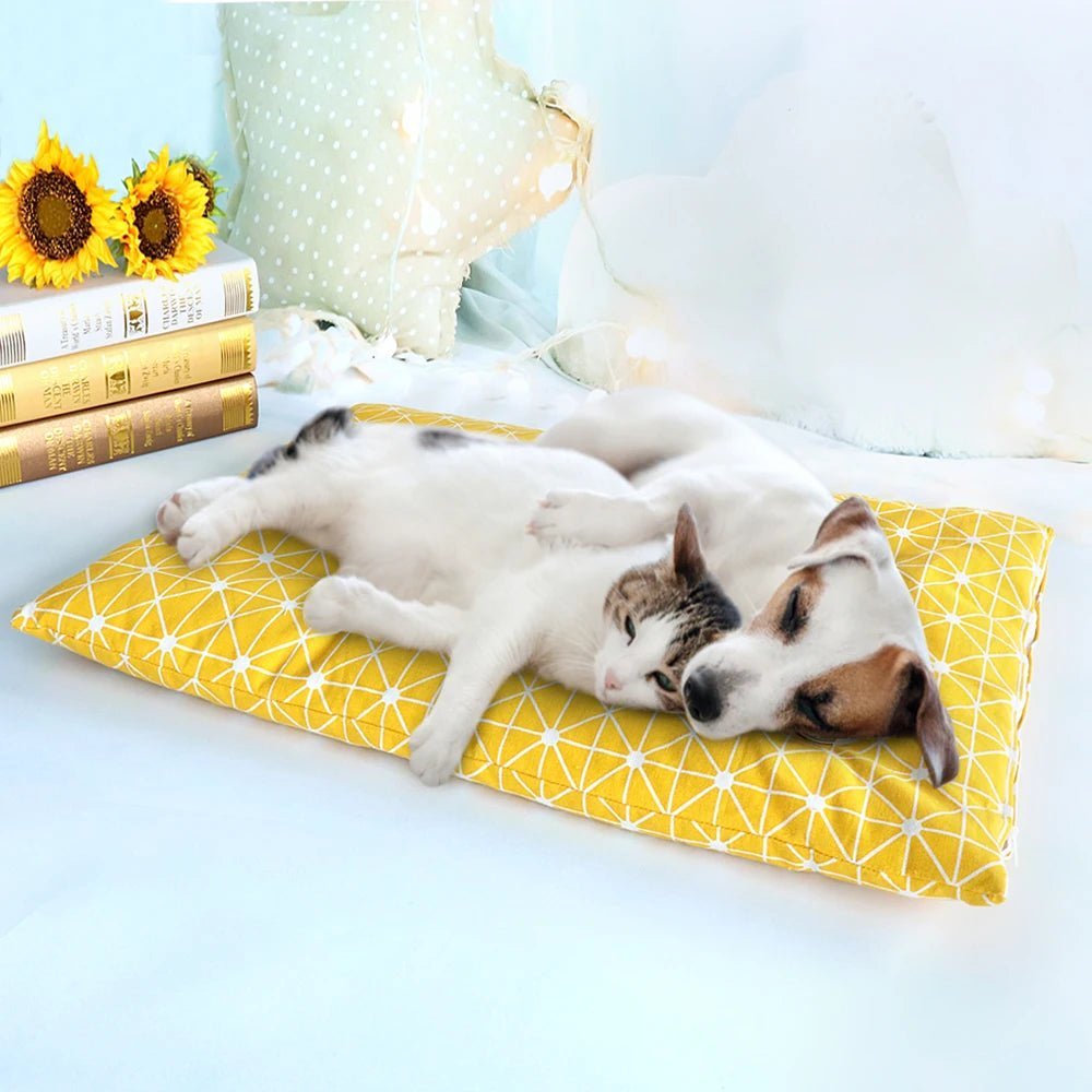 Matelas pour Chien Dolly™ - Joli Doggy